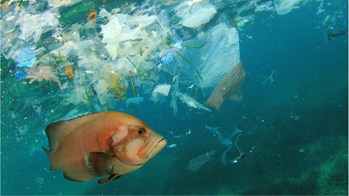 Book Review: Turning the Tide on Plastic